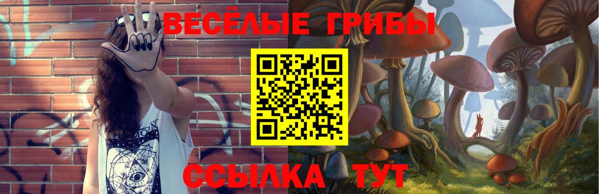 Гусиноозёрск  Галлюциногенные грибы MAGIC MUSHROOMS  Вход с VPN 